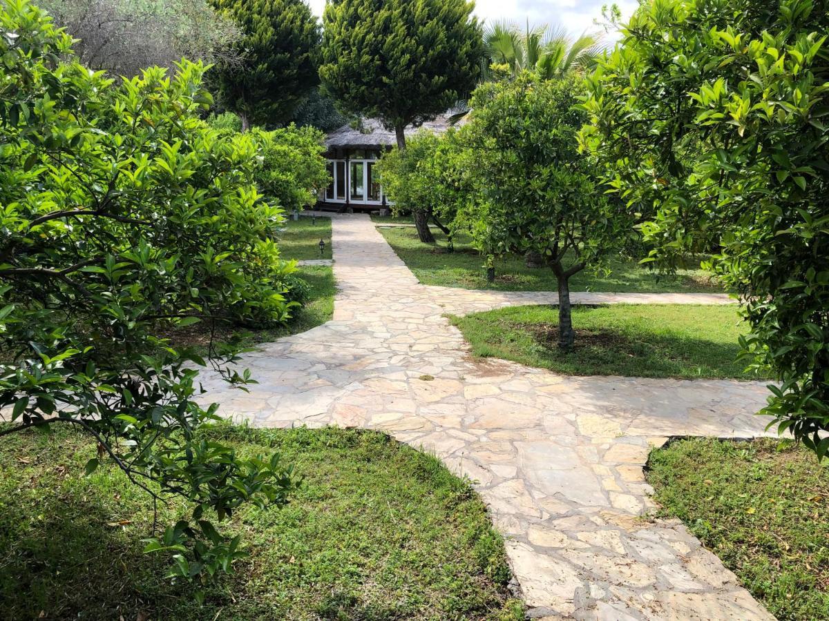 Cirali Armira Bungalow Exteriör bild