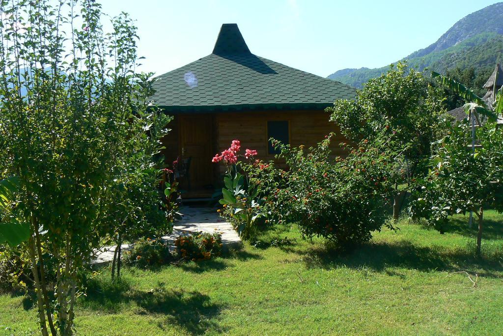 Cirali Armira Bungalow Rum bild