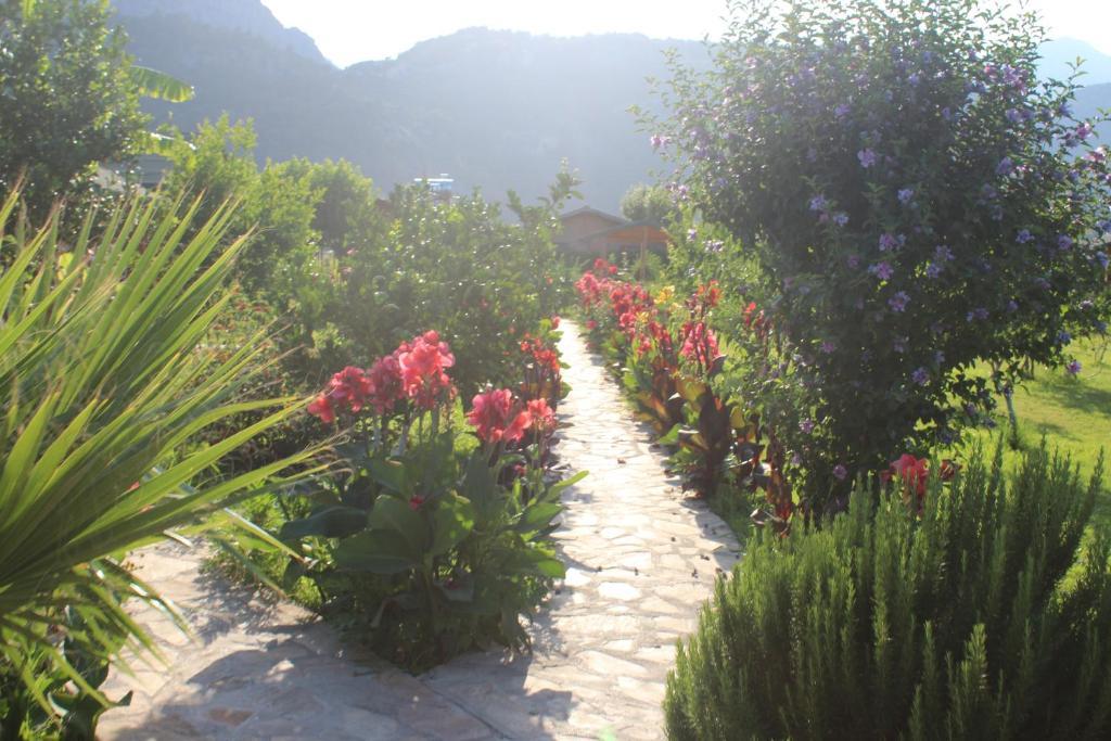 Cirali Armira Bungalow Rum bild