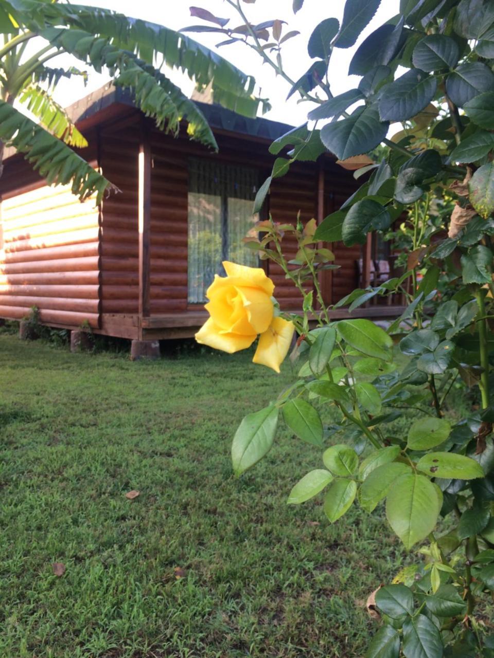 Cirali Armira Bungalow Exteriör bild