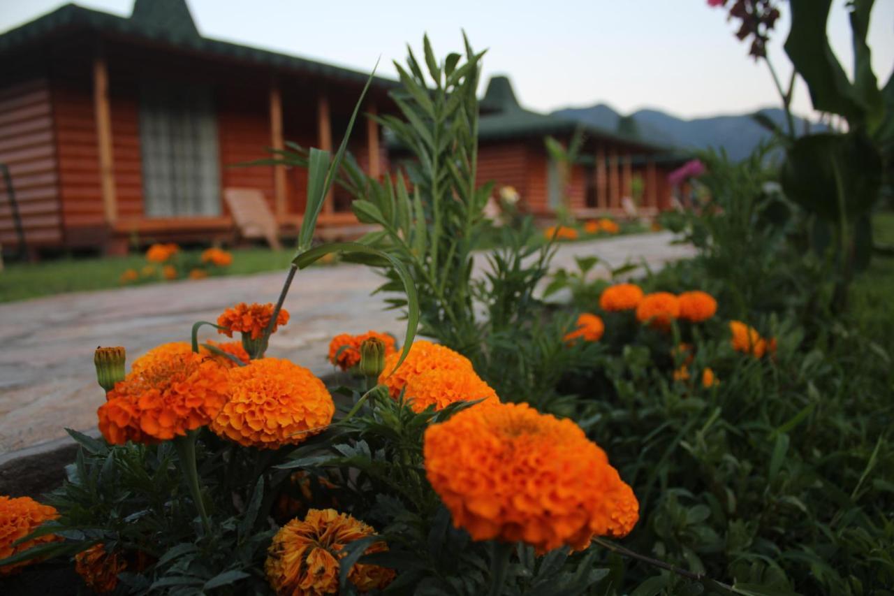 Cirali Armira Bungalow Rum bild